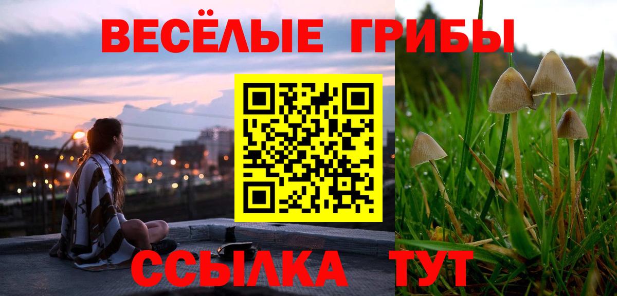 Галлюциногенные грибы Magic Shrooms  Псилоцибиновые грибы MAGIC MUSHROOMS  Вход с VPN  Каспийск 