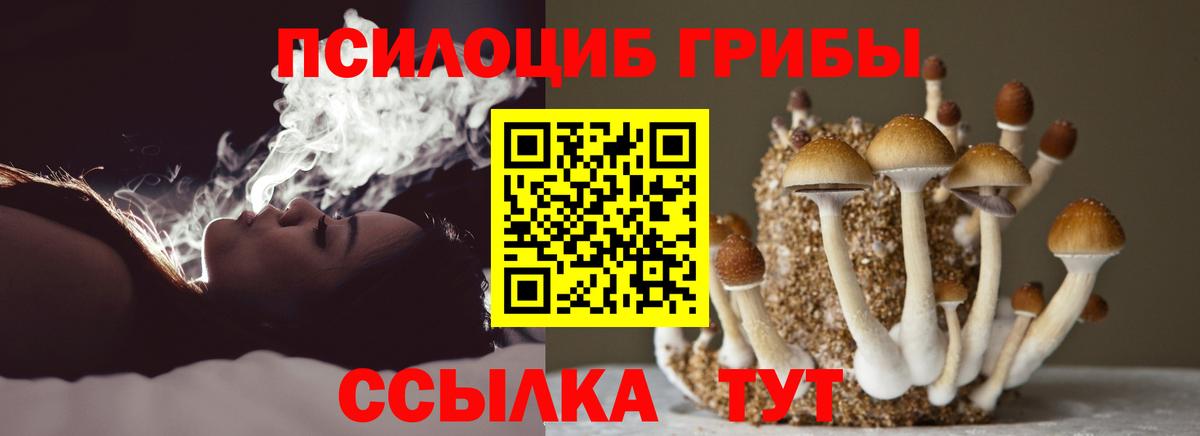 Галлюциногенные грибы Magic Shrooms Каспийск